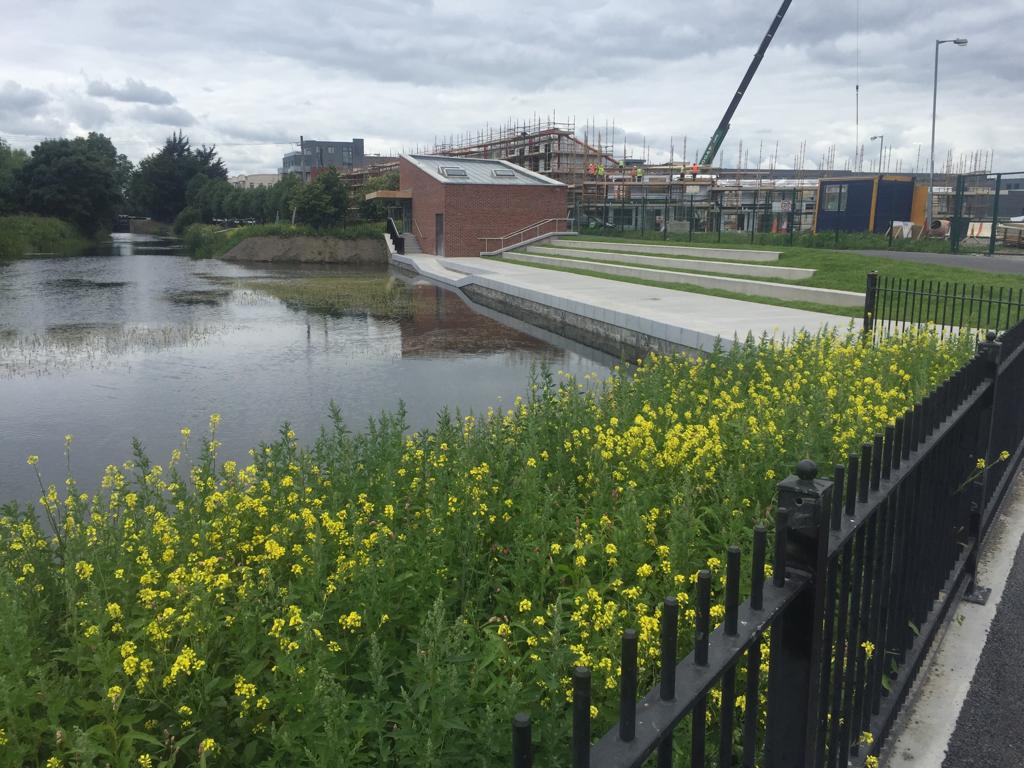 Widening Royal Canal